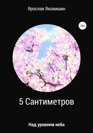 5 Сантиметров над уровнем неба