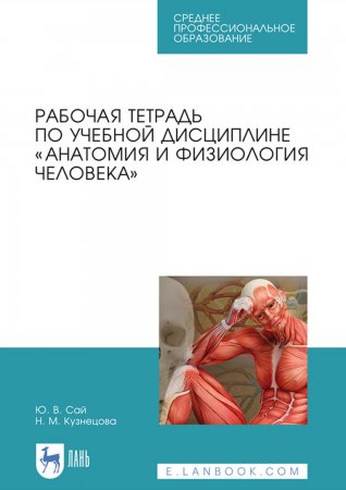 Рабочая тетрадь по учебной дисциплине «Анатомия и физиология человека». Учебное пособие для СПО