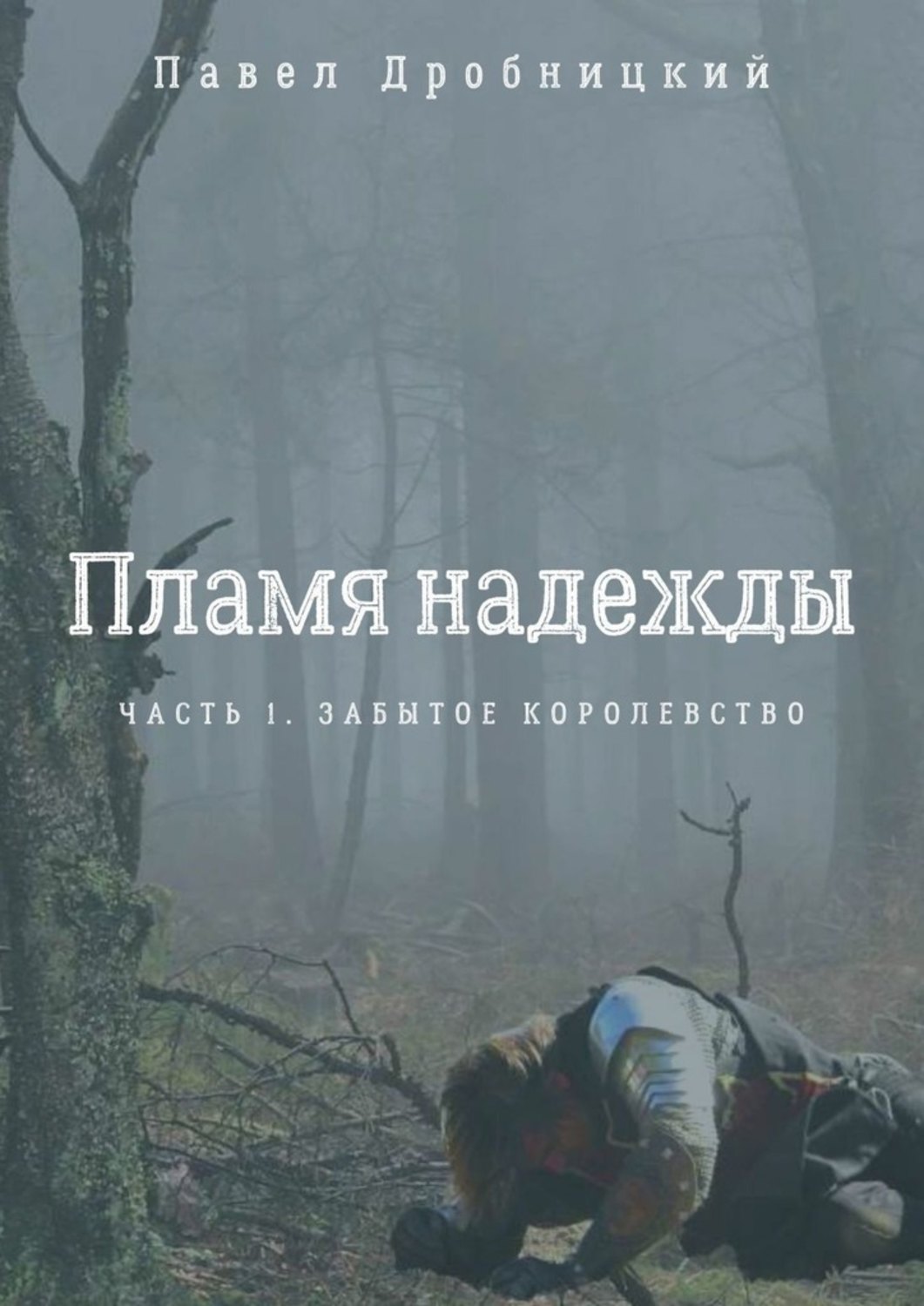 Пламя надежды. Сердца полные огня книга. Надежда полымя. Дробницкий Павел Александрович.