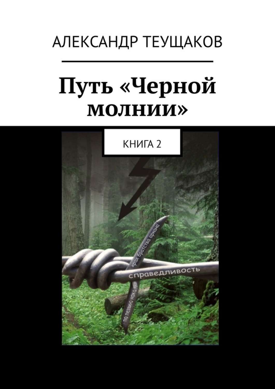 Читать книгу цеховик. Путь «черной молнии». Книга 2 Александр Теущаков книга. Александр Теущаков книги. Книги Александра черного. Чёрный путь книга.